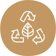 bagasse bowls distributors