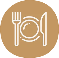 bagasse bowls distributors