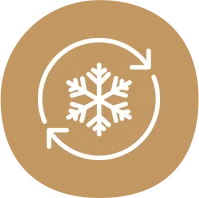 bagasse bowls distributors