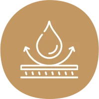 bagasse bowls distributors