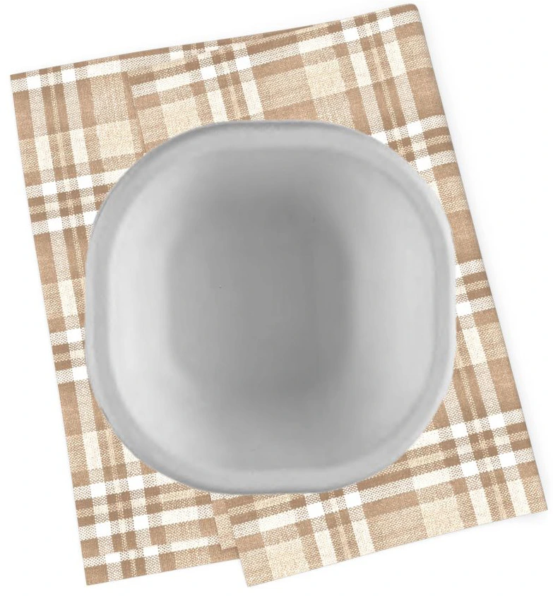 Biodegradable Bagasse Bowl