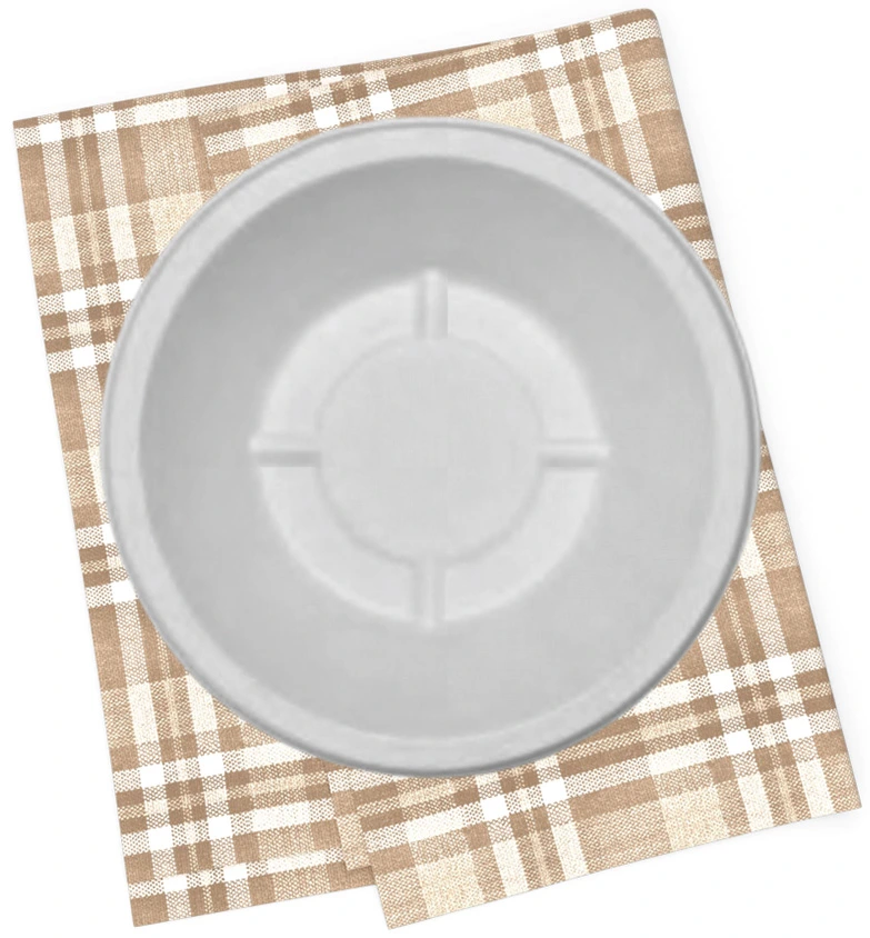 Bagasse Disposable Bowls